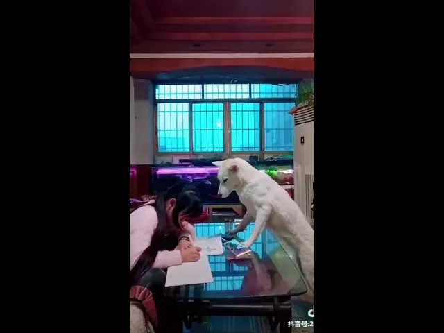 一只监督孩子写作业的狗